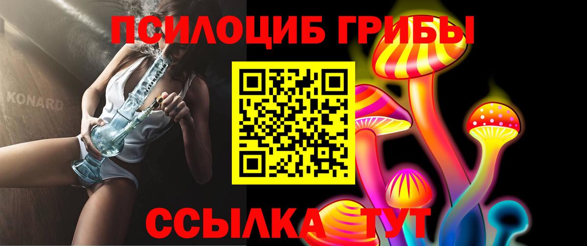Киселёвск  где продают наркотики  Галлюциногенные грибы прущие грибы  Вход с VPN  Псилоцибиновые грибы Psilocybine cubensis 